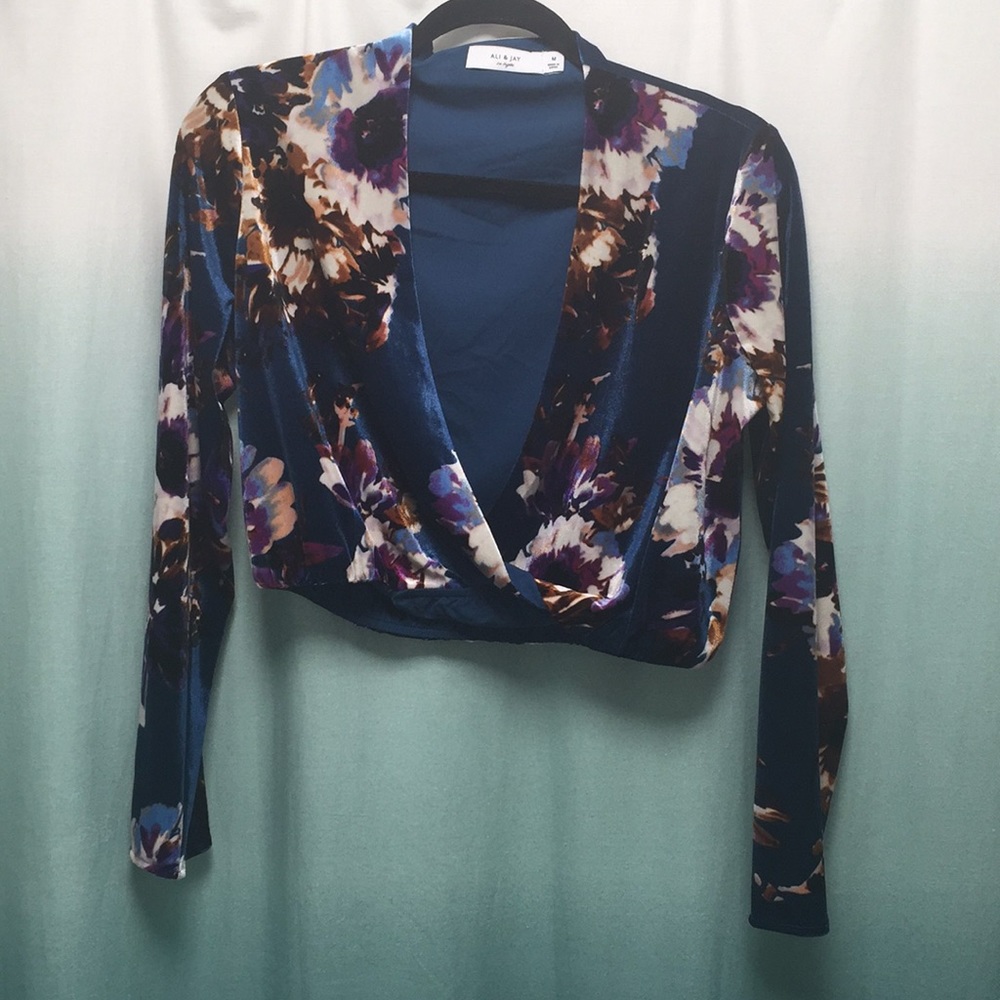 Ali and Jay Crushed Velvet Crop Top Sz M